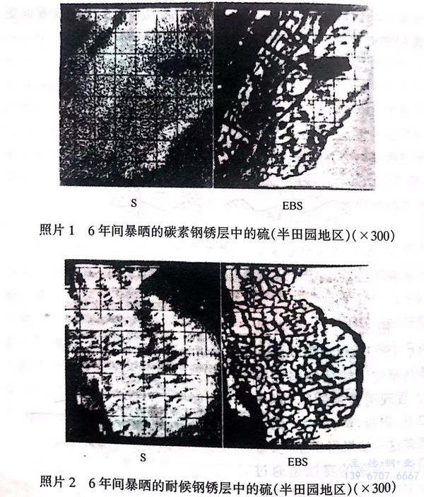 照片 1.jpg