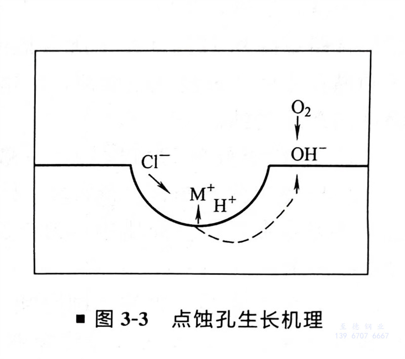 圖 3.jpg